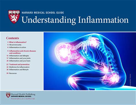 Understanding the Underlying Factors of Body Inflammation