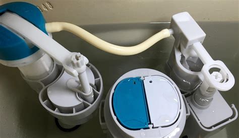 Understanding the Varied Types of Toilets: Tailoring the Flush to Your Needs