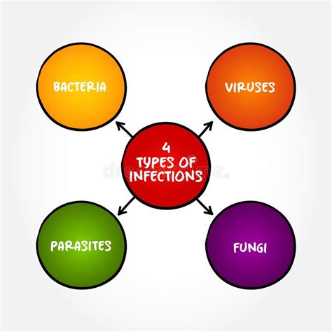 Understanding the World of Parasites: Types and Common Infections