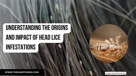 Understanding the concept of lice infestation