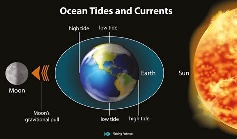 Understanding the phenomenon of elevated tides and its influence on the oceans