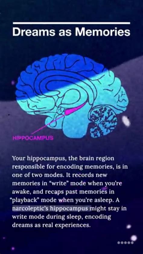 Understanding the physiological reasons behind dreams related to the necessity of defecation