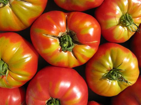 Unearthing the Fascinating Origins of Tomato Seeds