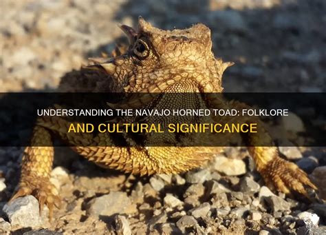 Unearthing the Toad's Cultural Significance in Folklore and Mythology