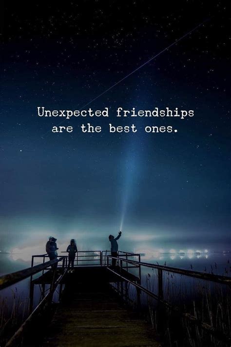 Unexpected Friendship: A Serendipitous Connection