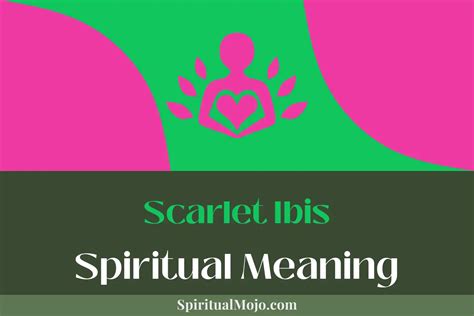 Unfolding the Spiritual Meanings