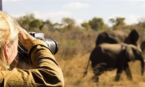 Unforgettable Aspirations: Embarking on a Quest to Safeguard Wildlife