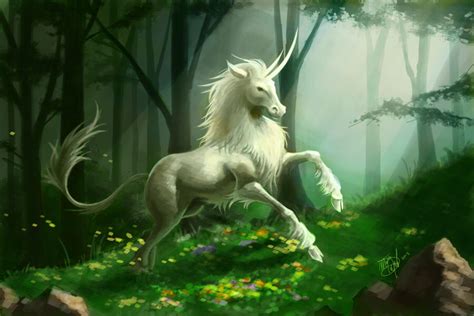 Unicorns: Mythical Creatures or Real Beings?