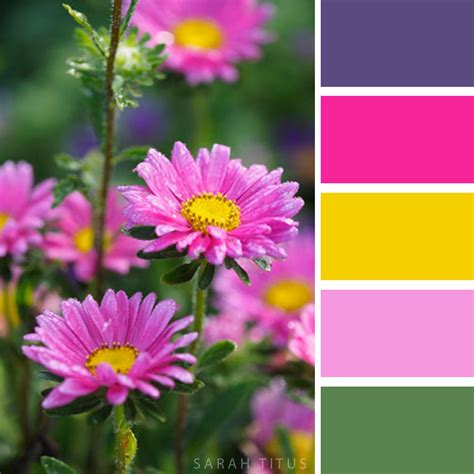 Unleash the Power of Color: The Fascinating Palette of a Flower Garden