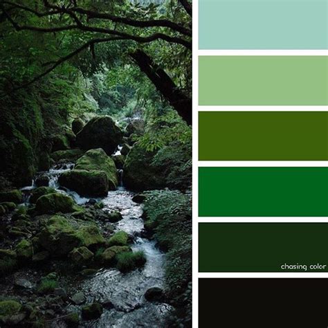 Unleashing Creativity: Finding Inspiration in Nature's Verdant Palette