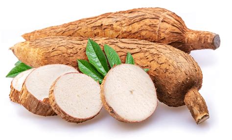 Unleashing the Nutritional Potential of Cassava Tubers