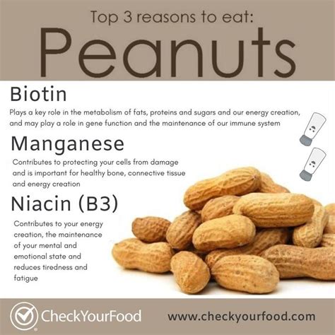 Unleashing the Nutritional Power of Peanuts: Harnessing the Health Benefits