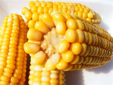 Unleashing the Sweetness: The Art of Cooking with Fresh Golden Maize