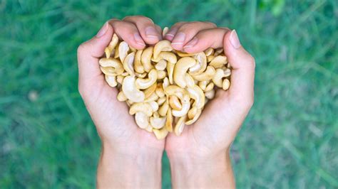 Unleashing the health benefits of cashews on your overall well-being