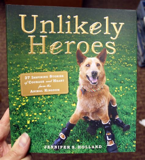 Unlikely Heroes: Everyday People Displaying Remarkable Courage