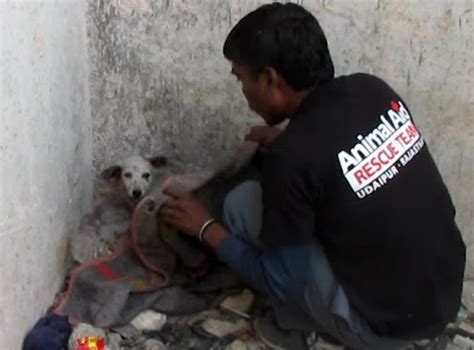 Unlikely Heroes: Meet the Compassionate Rescuers Who Answered the Cry for Help
