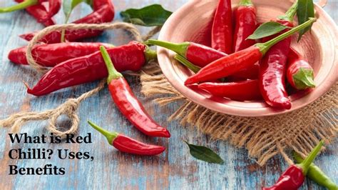 Unlocking the Advantages: Embracing the Health and Culinary Benefits of Red Chilli