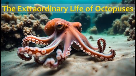 Unlocking the Enigma: Unveiling the Significance of Octopus Consumption in Dreams