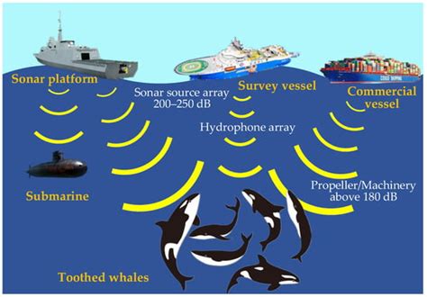 Unlocking the Enigma of Marine Fish Communication: Decoding the Language of the Silent Seas