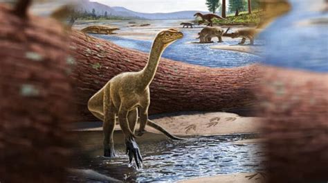 Unlocking the Enigma of Petite Dinosaur Species