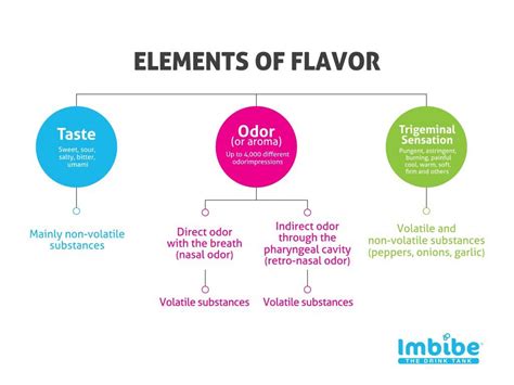 Unlocking the Hidden Elements of Flavor: Elevating the Taste Sensation