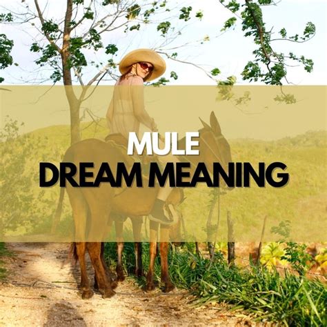 Unlocking the Hidden Symbolism of Mules' Dreams