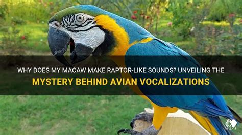 Unlocking the Mysteries: The Science Behind Avian Vocalizations