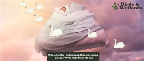 Unlocking the Secrets: Decoding Swan Dreams