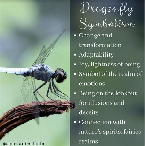 Unlocking the Secrets: The Hidden Meanings of Dragonfly Imagery