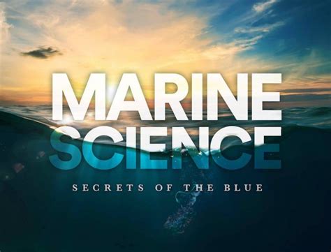 Unlocking the Secrets of the Deep: Nighttime Marine Research