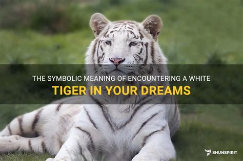 Unlocking the Spiritual Messages: Exploring the Profound Meanings of Encountering a Majestic Tiger in Dreams