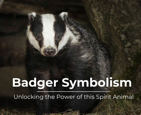 Unlocking the Symbolic Significance of Badgers in Dreams