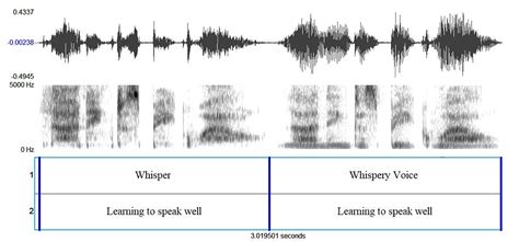 Unlocking the Symbolic Significance of a Vocal Infant