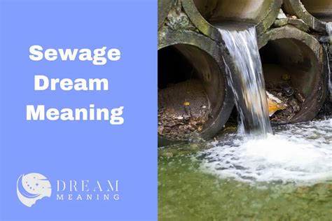 Unlocking the Veiled Meanings of Sewage Dreams