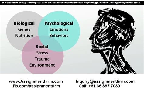 Unraveling the Causes: Exploring the Origins from Physical to Psychological Factors