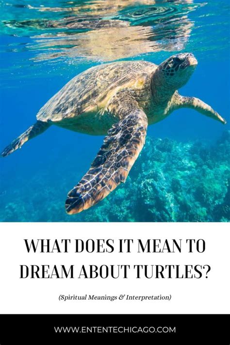 Unraveling the Connection Between Turtles and Fish in Dreams