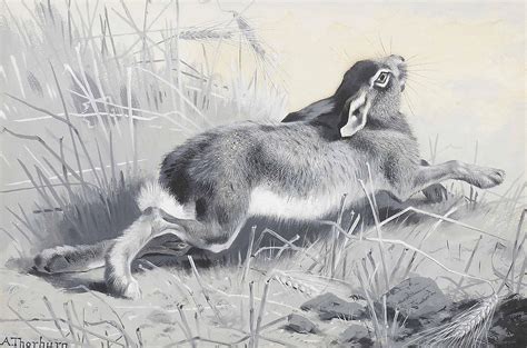 Unraveling the Enigmatic Significance: Comprehending the Vision of a Fatally Wounded Hare