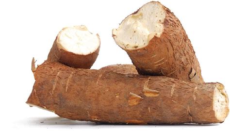 Unraveling the History and Origins of Cassava Tubers