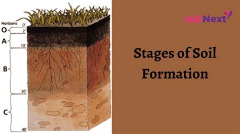 Unraveling the Intricacies of Soil Formation