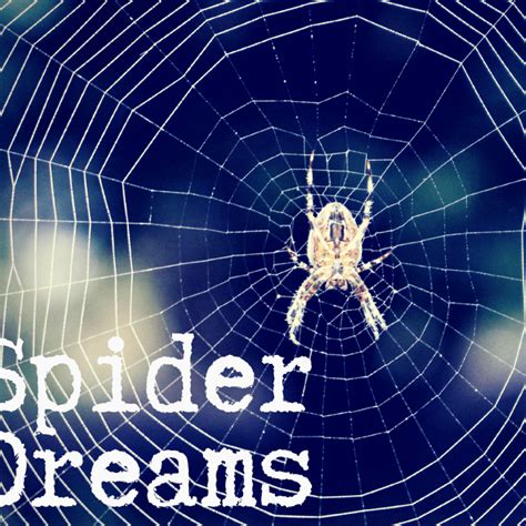 Unraveling the Meaning of Spider Dreams: Insights and Analysis