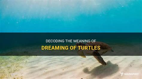 Unraveling the Messages: Tips for Decoding Dreams of Turtles in Pursuit and Applying the Wisdom to Real Life