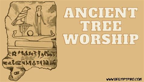 Unraveling the Mysteries of Ancient Tree Worship