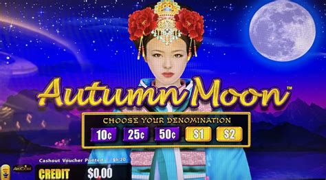 Unraveling the Mystery: Understanding Slot Machine Odds