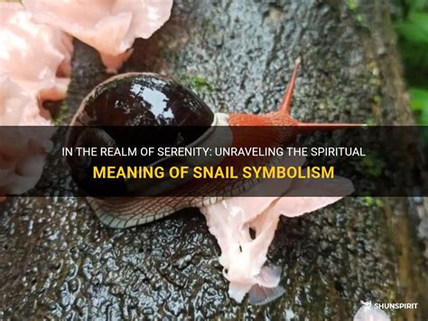 Unraveling the Mystical Symbolism of Snails in Dreamscapes