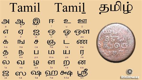 Unraveling the Origins and Evolution of the Tamil Language