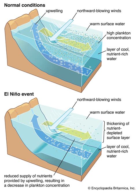 Unraveling the Origins and Formation of Vigorous Water Currents