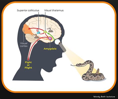 Unraveling the Personal Significance and Emotional Depth of the Enigma