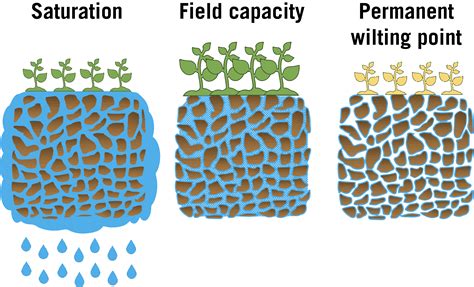 Unraveling the Psychological Significance of Saturated Soil Reveries