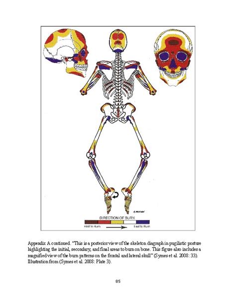 Unraveling the Significance of Boxer Hallucinations: A Handbook to Personal Exploration