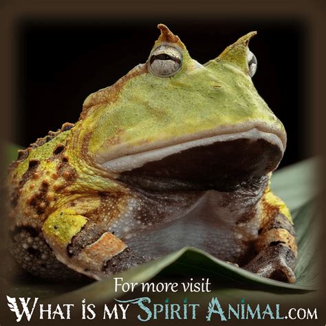 Unraveling the Spiritual Significance of Dreams Involving Young Amphibians